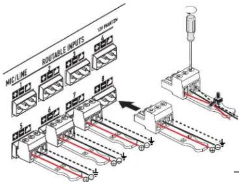 MIC/LINE ROUTABLE INPUTS 12V PRINT/CM