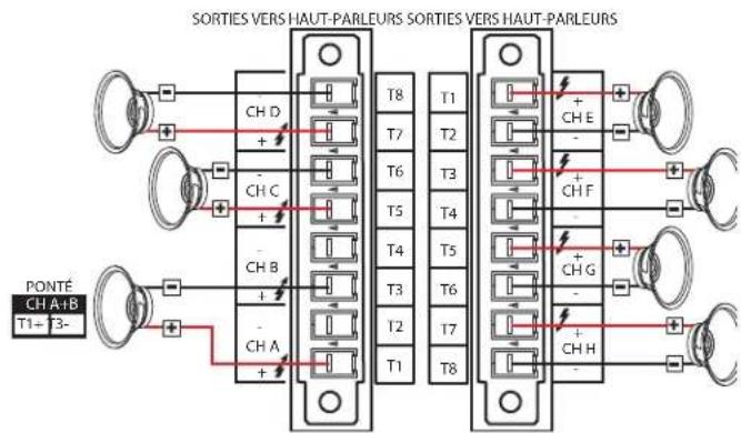SORTIES VERS HAUT-PARLEURS SORTIES VERS HAUT-PARLEURS PONTÉ CH A+B T1+ T3- T8 T1 T2 T3 T4 T5 T6 T7 T8 + CH E - + CH F + CH G - + CH H - + CH H