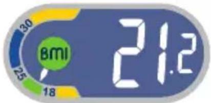 TEFAL Weight Watchers WZ7000F0 - Body Mass Index - 2