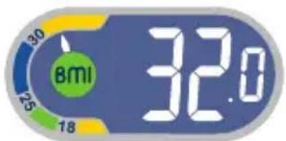 TEFAL Weight Watchers WZ7000F0 - Body Mass Index - 4
