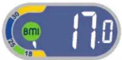 TEFAL Weight Watchers WZ7000F0 - Body-Mass-Index - 2