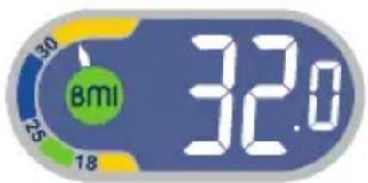 TEFAL Weight Watchers WZ7000F0 - Body-Mass-Index - 5