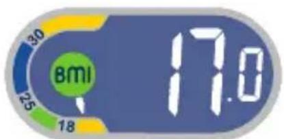 TEFAL Weight Watchers WZ7000F0 - Body Mass Index - 1