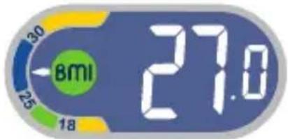 TEFAL Weight Watchers WZ7000F0 - Body Mass Index - 3
