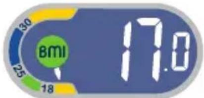 TEFAL Weight Watchers WZ7000F0 - Body Mass Index - 1