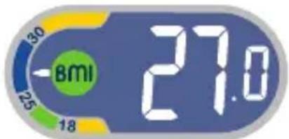 TEFAL Weight Watchers WZ7000F0 - Body Mass Index - 3