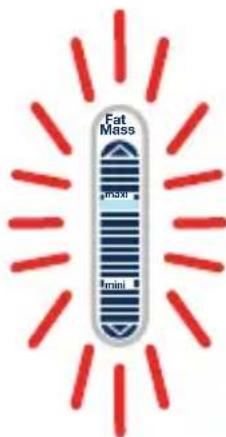 TEFAL Weight Watchers WZ7000F0 - 3/ Valg af alder: - 5