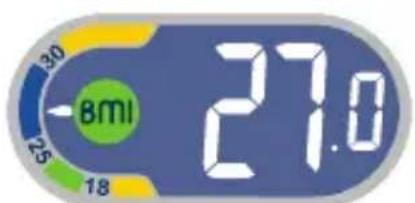 TEFAL Weight Watchers WZ7000F0 - Body Mass Index - 3