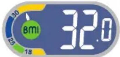 TEFAL Weight Watchers WZ7000F0 - Body Mass Index - 4