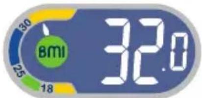 TEFAL Weight Watchers WZ7000F0 - Body Mass Index - 4
