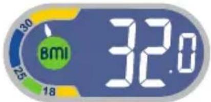 TEFAL Weight Watchers WZ7000F0 - Body Mass Index - 4