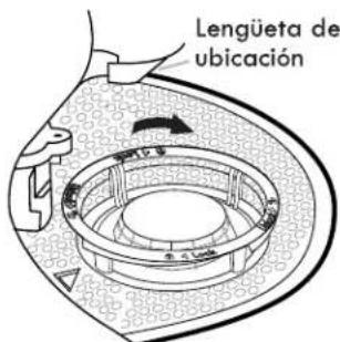 Lengüeta de ubicación