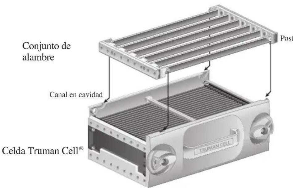 Oreck DualMax WK13016CA - Limpieza de la celda Truman Cell® - 2