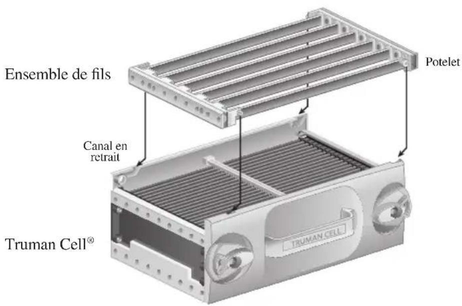 Oreck DualMax WK13016CA - Nettoyage de la truman cell® - 2