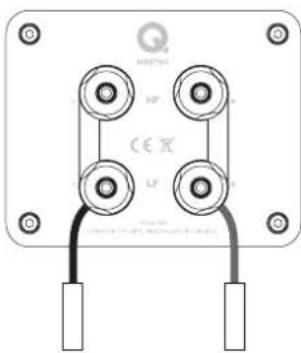 Q-ACOUSTICS Concept 500 - Terminais e Conectores. - 1
