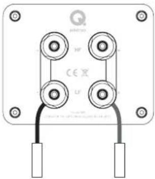 Q-ACOUSTICS Concept 500 - Bornes et connecteurs - 1