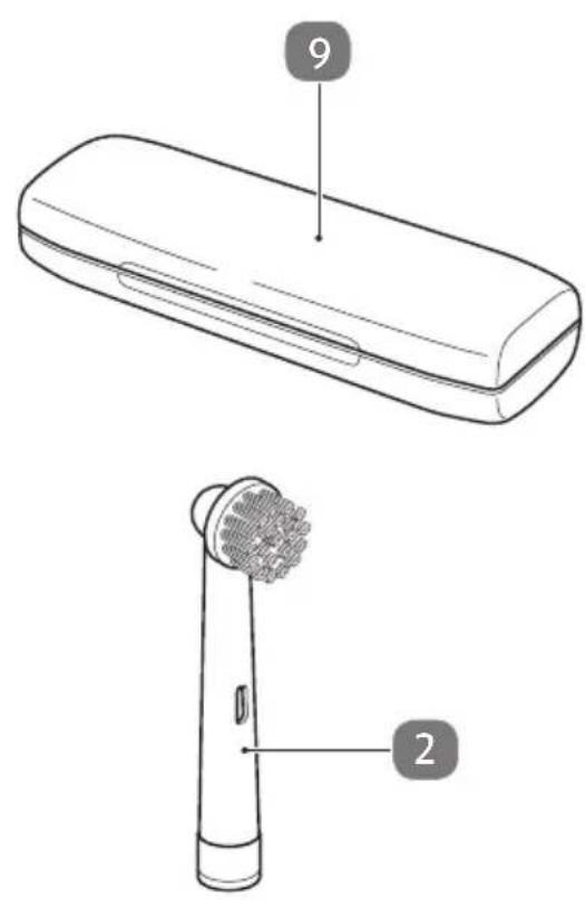 Easy Home GTTBO05 - Spazzolino da denti con testina oscillante - 3