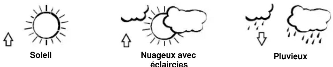 TECHNOLINE WS 9273 - ICÔNES DE PRÉVISION MÉTÉO - 1