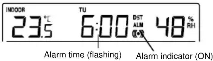TECHNOLINE WS 9273 - ALARM SETTING - 1