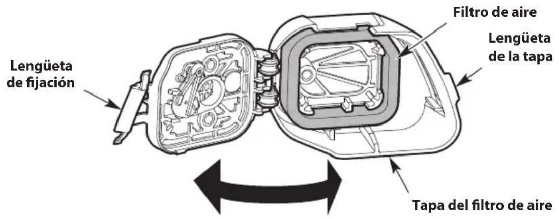 TROY-BILT TB25S - Limpieza del filtró de aire - 1