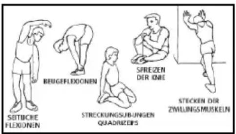 BH FITNESS Athlon G2334N - 1.Aufwärmphase - 1