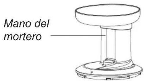 Melchioni Vega - Composición - 1