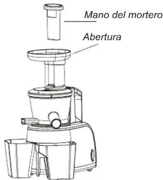 Melchioni Vega - Ensamblaje de la guarnición de caochu - 4