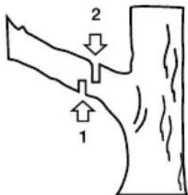 GARLAND Rodent 604 WV21 - CORTE DE UN RAMA DE UN ARBOL - 1