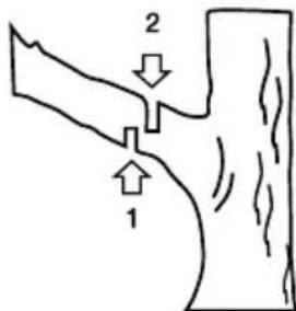 GARLAND Rodent 604 WV21 - CORTANDO UM GALHO DE ARVORE - 1