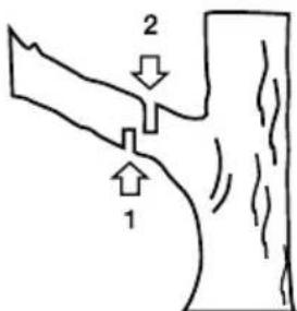 GARLAND Rodent 604 WV21 - TAGLIO DI UN RAMO DI UN ALBERO - 1