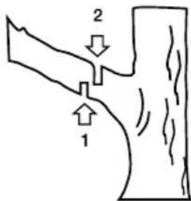 GARLAND Rodent 604 WV21 - 7.3.3.CUTTING A BRANCH OF A TREE - 1