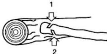 GARLAND Rodent 604 WV21 - CUTTING THE BRANCHES OF A FELLED TREE - 1