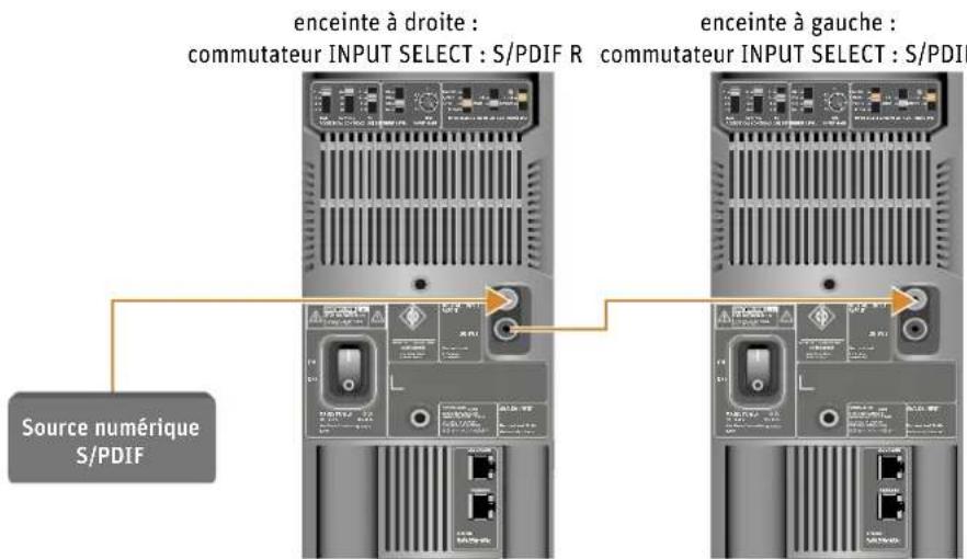 NEUMANN M 49 V - Raccorder les signaux numériques AES3id et S/PDIF à l'enceinte - 1