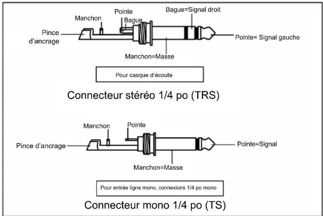 ALTO AEQ215 - Câblage - 1