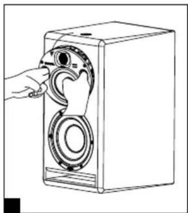 FOCAL SUB 12 - F - 2
