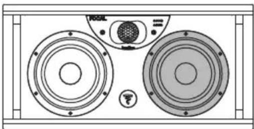 FOCAL SUB 12 - MIDRANGE DRIVER - 1