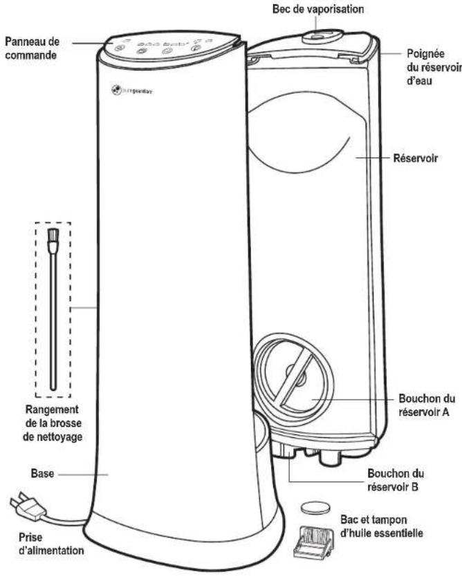 Bec de vaporisation Panneau de commande Poignée du réservoir d'eau Réservoir Rangement de la brosse de nettoyage Base Prise d'alimentation Bouchon du réservoir A Bouchon du réservoir B Bac et tampon d'huile essentielle