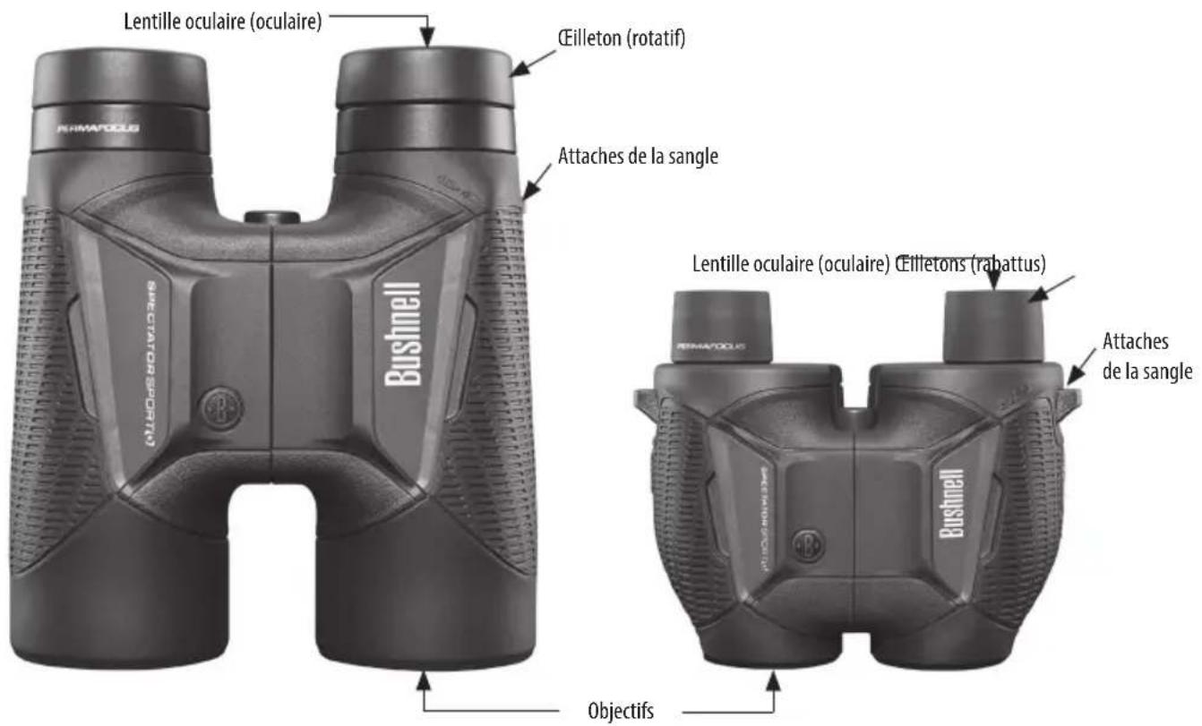 BUSHNELL Spectator Sport 4x30 - Jumelles spectator sport® – ne ratez jamais une action décisive - 2