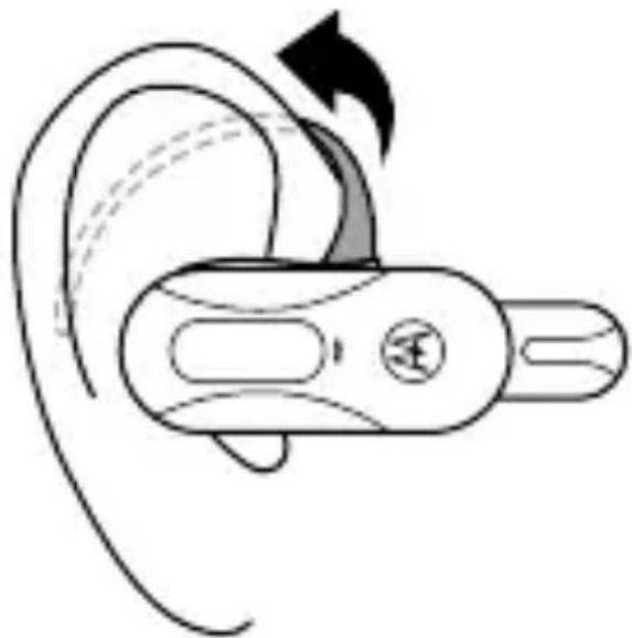 ZEBRA H17 - wear with earhook - 3