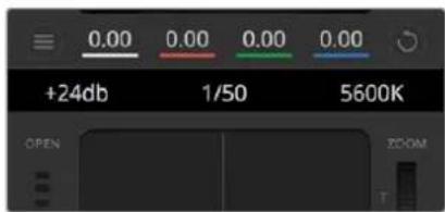 Blackmagic Design Studio Camera 4K Pro - Velocità dell'otturatore - 1