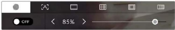 Blackmagic Design Studio Camera 4K Pro - Zebra - 1