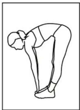 BH FITNESS LK700IC - Toe Touches - 1