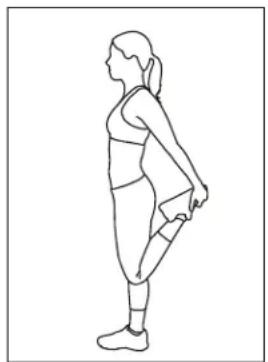 BH FITNESS LK700IC - Soulèvements des épaules - 3