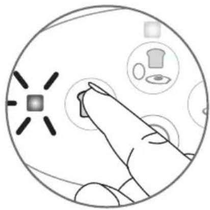 TEFAL Toast'N Egg TT5501 - Leivänpaahdin - 2