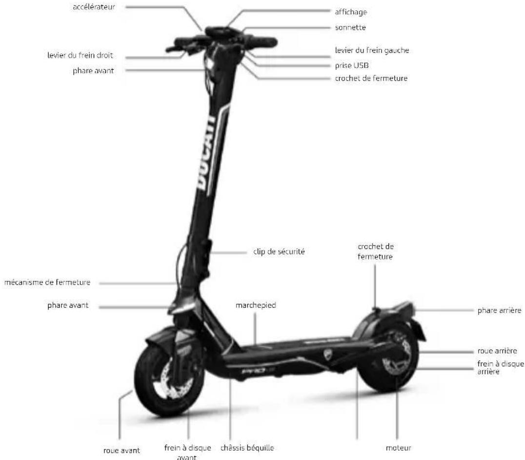 DUCATI ProII Plus - Mode d'emploi - 4