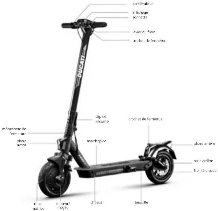 DUCATI ProII Plus - Mode d'emploi - 3