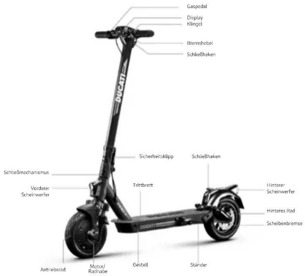 DUCATI ProII Plus - Benutzerhandbuch - 3