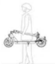 DUCATI ProII Plus - Modely: Ducati Pro-II Plus, Pro-II Evo, Pro-III - 3