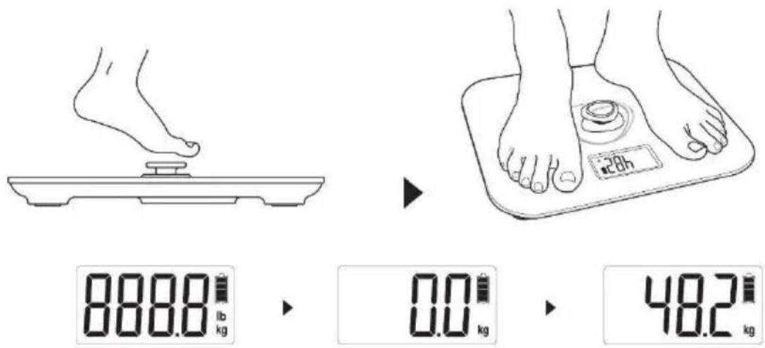 Perel VTBAL200 - Général - 1