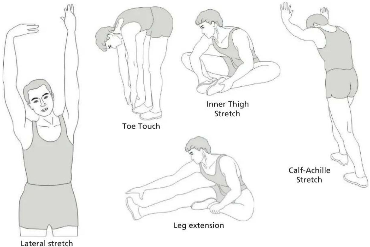 Skandika Nemo IV - STRETCHING - 1